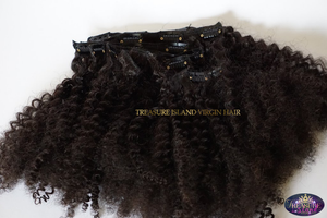 Afro Kinky Curly Clip In Hair Extensions